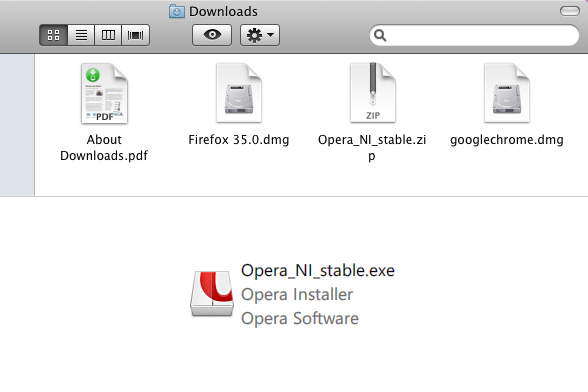 Opera web browser installation files